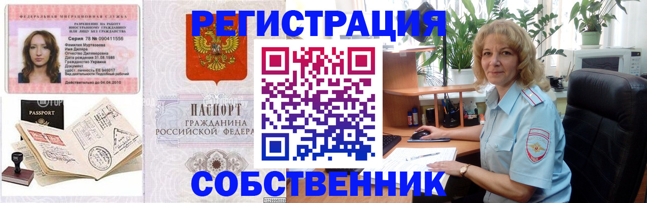 прописка законно в Борзе